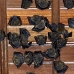 bat_fruit_mf_ubud_v_0915_bal4630.jpg